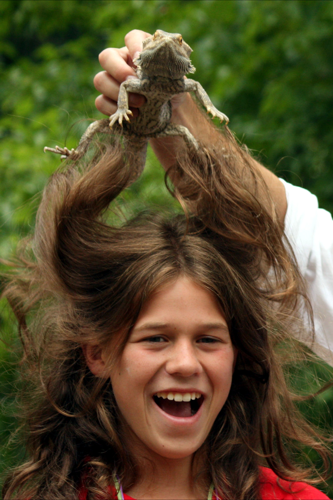 JC Jackman's Creepy Crawly Adventure - Image 2