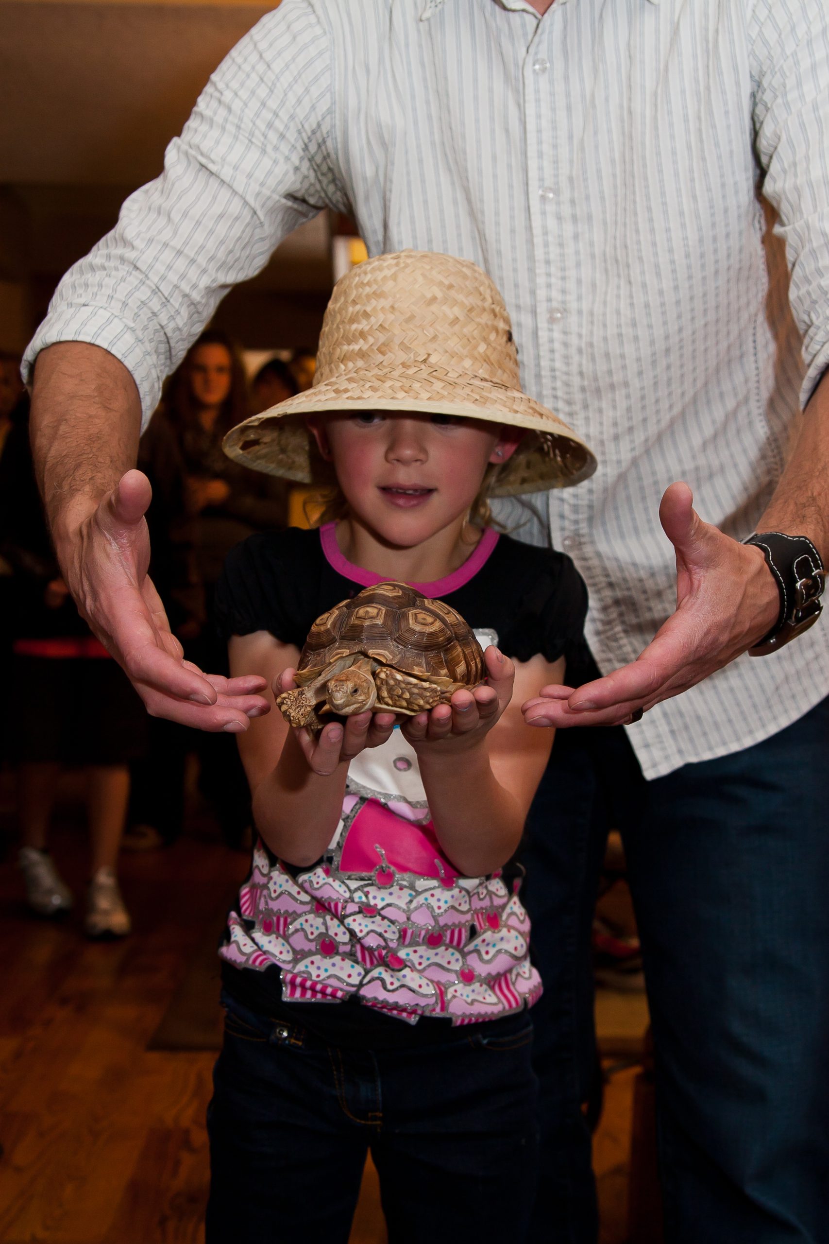 JC Jackman's Creepy Crawly Adventure - Image 3
