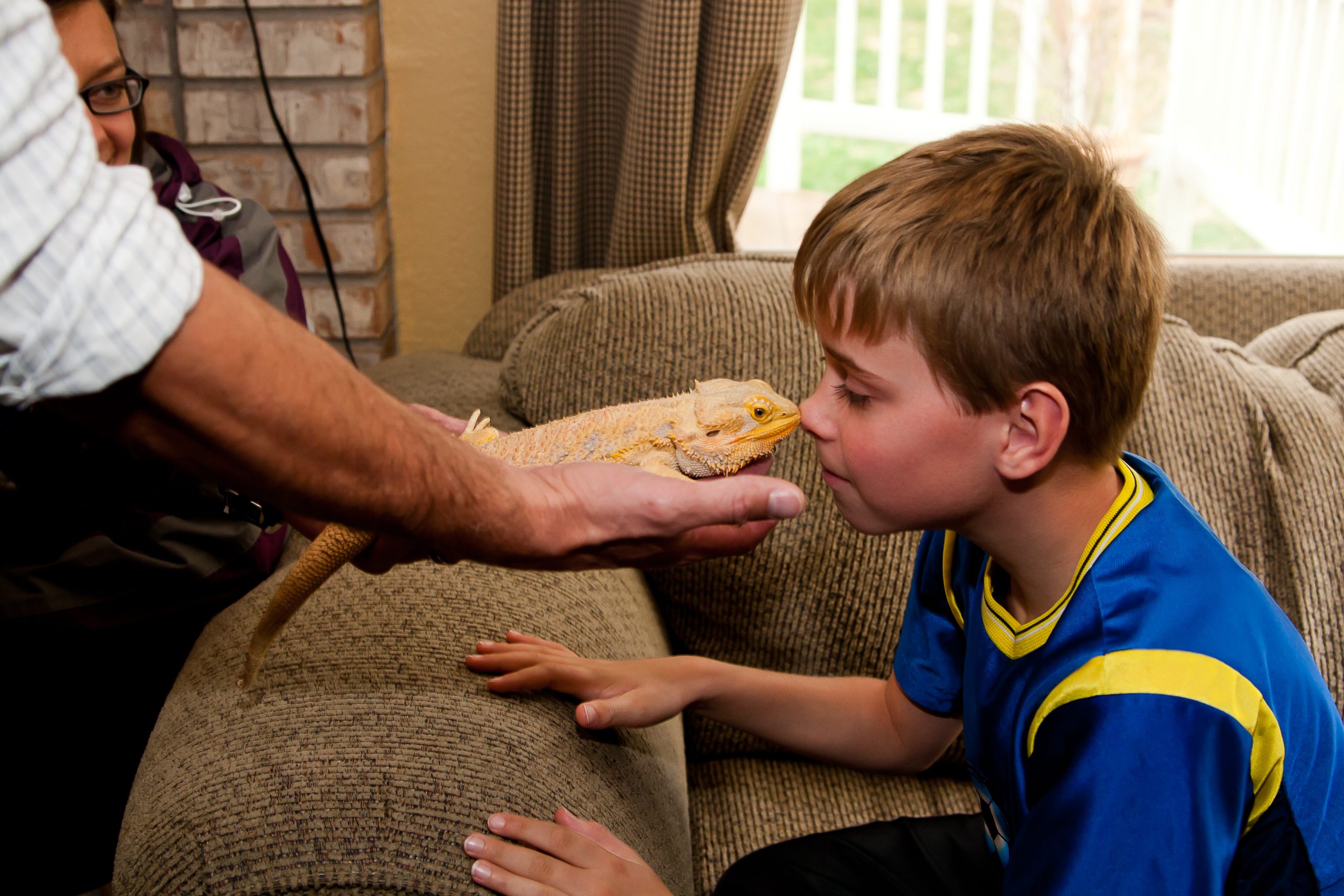 JC Jackman's Creepy Crawly Adventure - Image 5