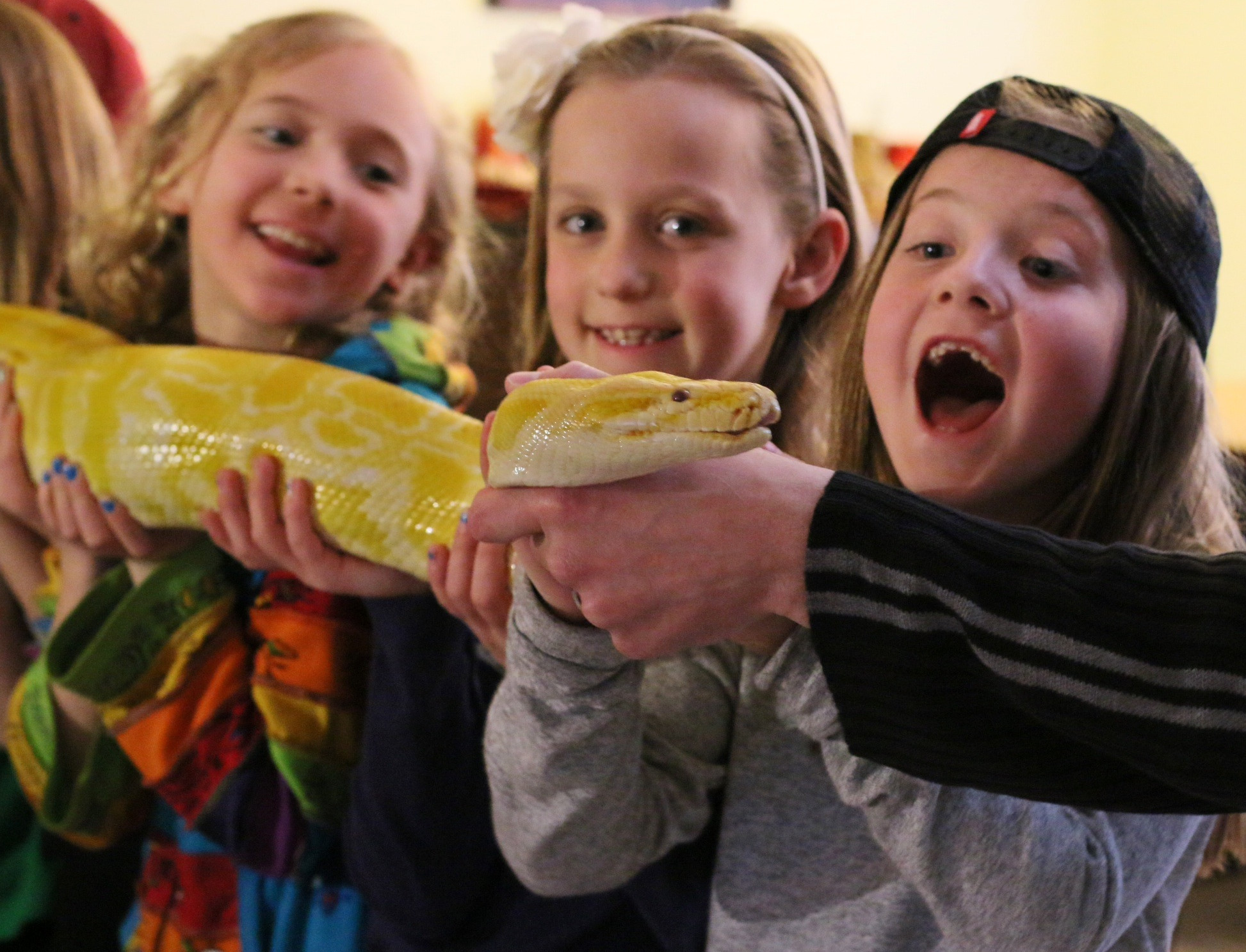 JC Jackman's Creepy Crawly Adventure - Image 6
